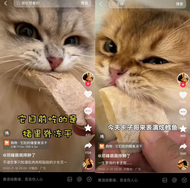 p3这条千亿赛道杀出一匹黑马开元棋牌年销